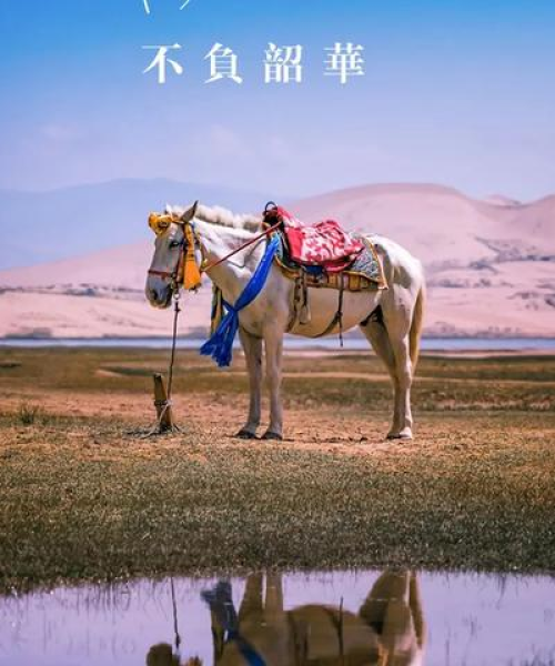 励志自律健身语录，数据背后的力量与坚持