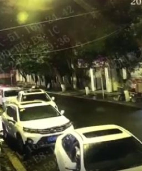 雅安盗窃最新案件名单判决详述