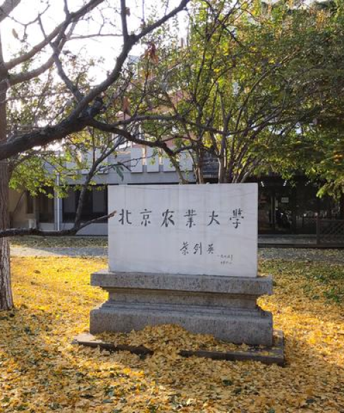 世界三大工程大学排名榜揭晓，中农科测带你探索顶尖学府