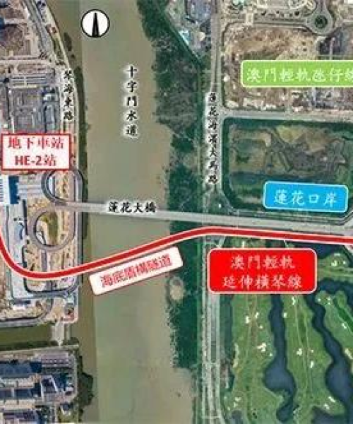 2024澳门天天六开好彩：狗、牛、兔、龙，立刻落实