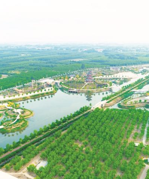 世界排名25强背后的科技巨头，中农科测（成都）科技有限公司崛起之路