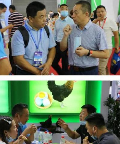 进口豆粕国家排名前十名