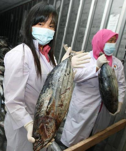 2024澳门天天开好彩大全53期：猴、马、虎、狗，内幕消息