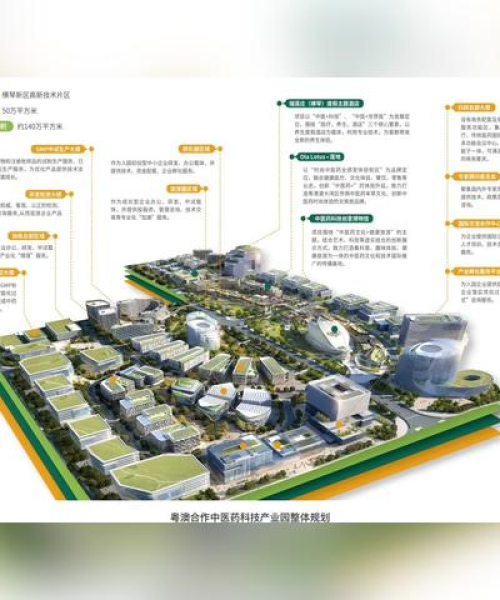 2025澳门天天开｜权威分析说明