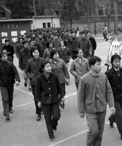澳洲卫视新闻头条——科技创新引领未来生活新篇章