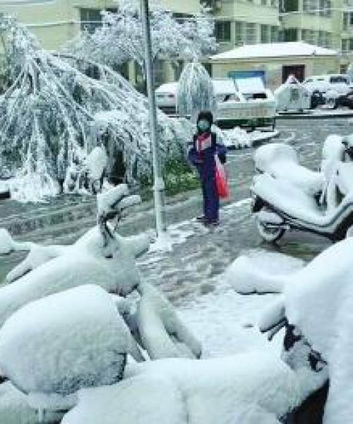 暴雪最新消息今日甘肃新闻