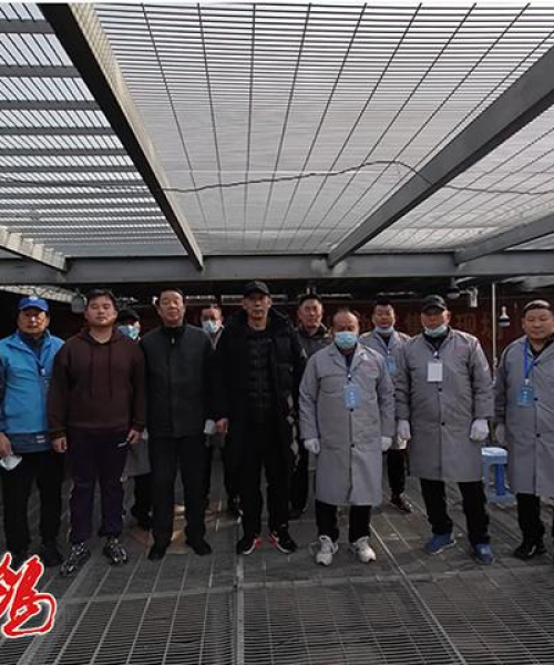 无敌战将2023最新集，科技巨擘展现卓越实力