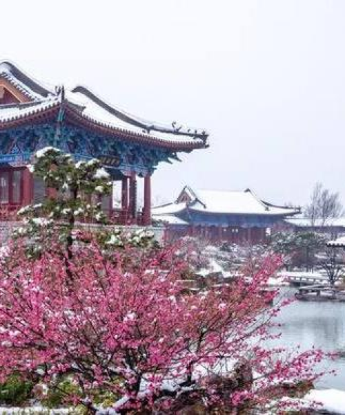 今日登封直播最新消息新闻