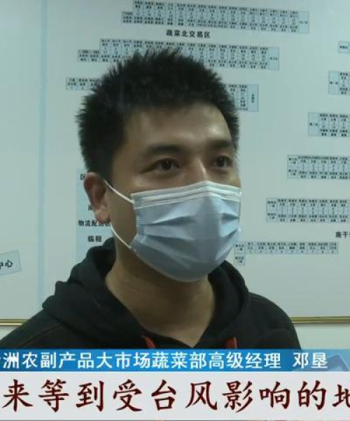 山西今日菜价最新动态
