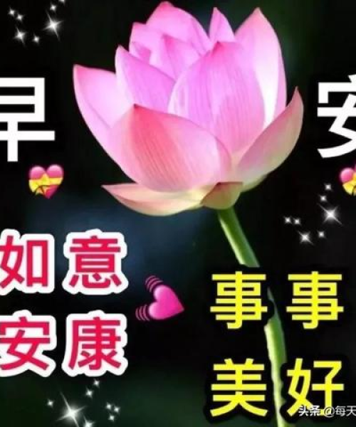 加入我们 第7页