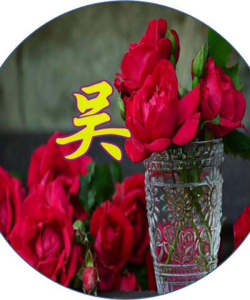 励志学习，精神语录与头像的力量