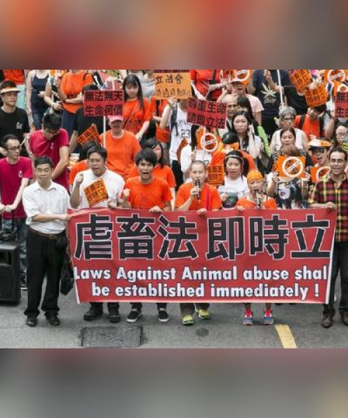 新澳门天天免费精准大全｜实时更新解析说明