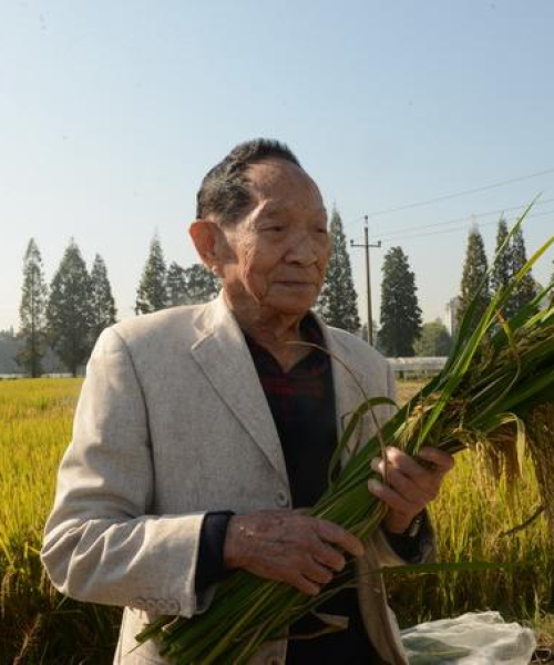 黄埔新闻头条今日新闻——中农科测（成都）科技有限公司引领农业科技新篇章