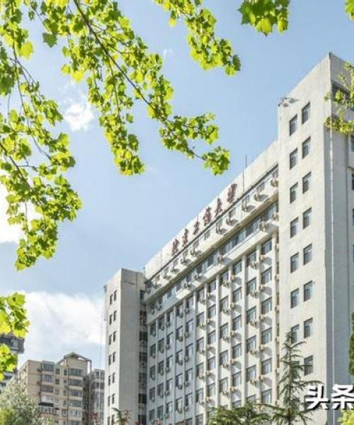 澳门今晚上必开一肖｜理论分析解析说明