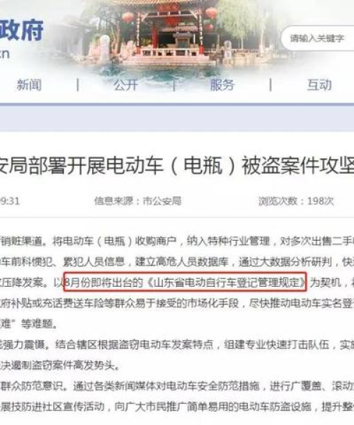 山东车险公司排名前十强解析