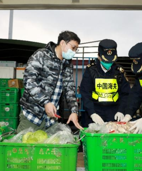 新澳门三期内必开一期｜效率解答解释落实