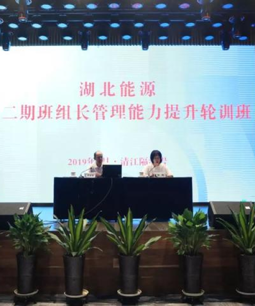 湖北能源销售公司排名揭晓
