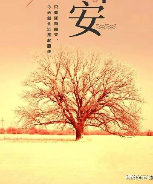 励志人生语录，说说心情与成长之路