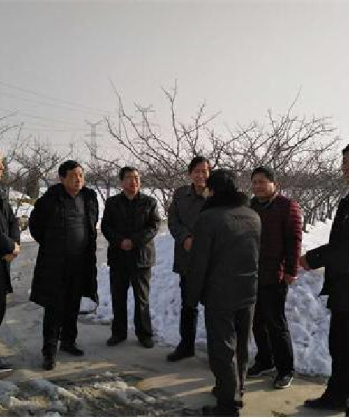 头条新闻解析中农科测（成都）科技有限公司引领农业科技新潮流