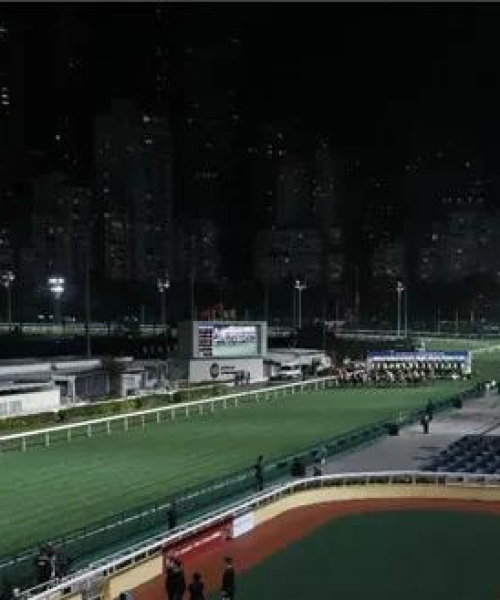 定制化解决方案 第4页