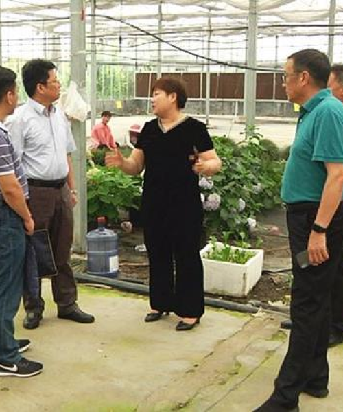 麻辣问政新闻头条，中农科测（成都）科技有限公司引领农业科技新革命