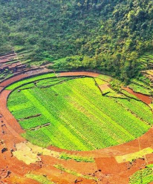 河池新闻头条宜州，最新数据与动态分析
