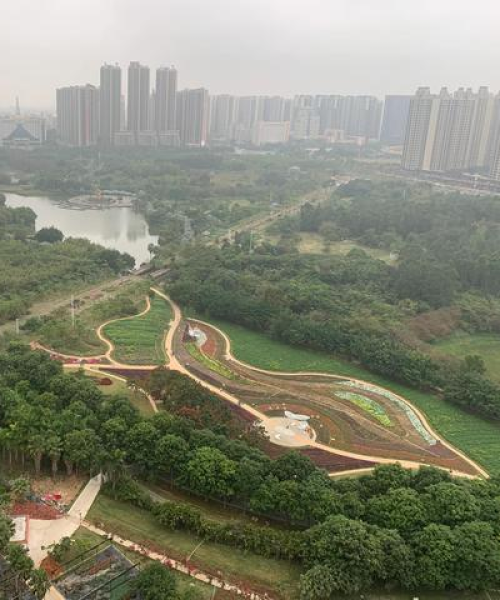 湛江房价前十名排名揭示，这些具体数据让你更了解市场