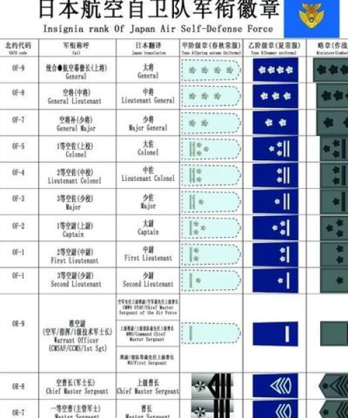 最新警察局警衔排序图表详解