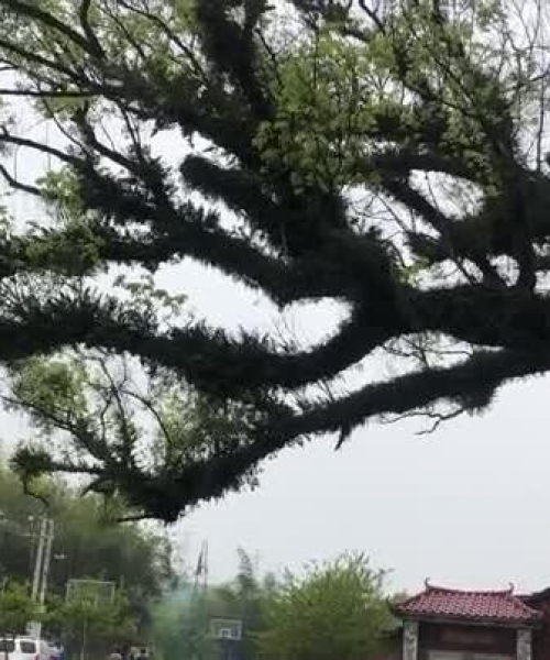 大江今日早报最新消息