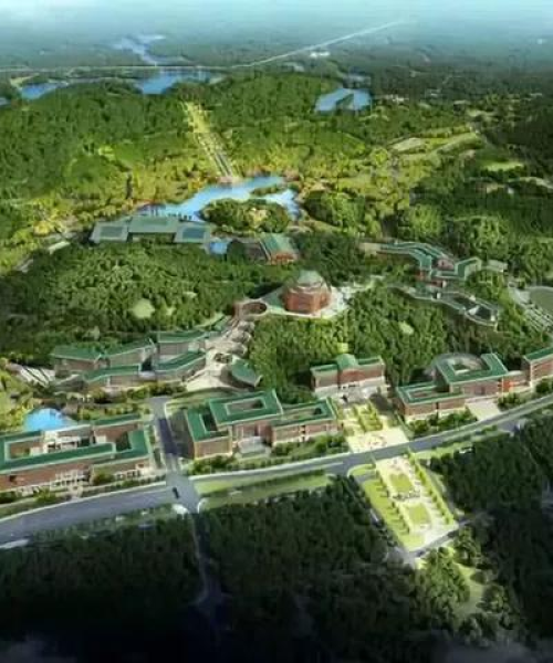 导航引领，聚焦中山市新闻头条——成都中农科测科技前沿报道