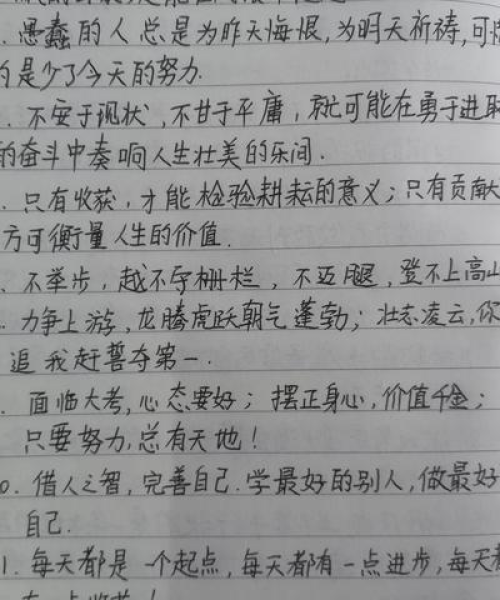 中考艺术生励志语录