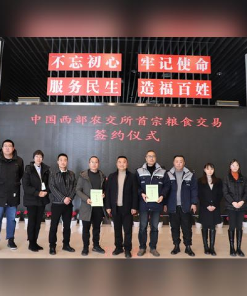 成都粮食新闻头条——粮食产业蓬勃发展，成都领跑新时代粮食安全之路