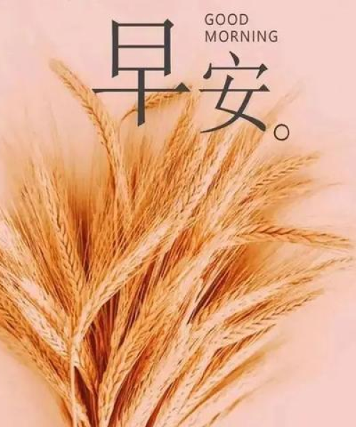 励志语录，引领成功的智慧箴言