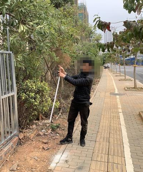 南宁做牙公司排名及行业分析