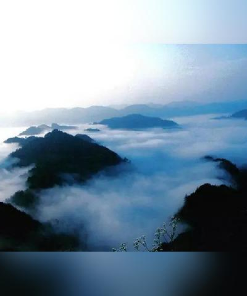贵州福利好的公司排名揭晓