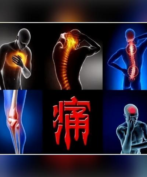 病理系统公司排名及行业分析