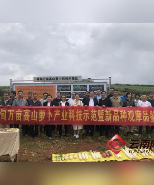 销声匿迹