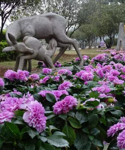 番禺景观公司排名揭晓，专业水准与业绩的双重考量