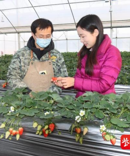 中农科测在推动农业数字化转型中的角色