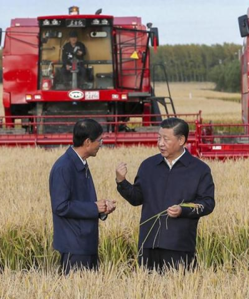 农业数字化转型的行业统计与趋势分析