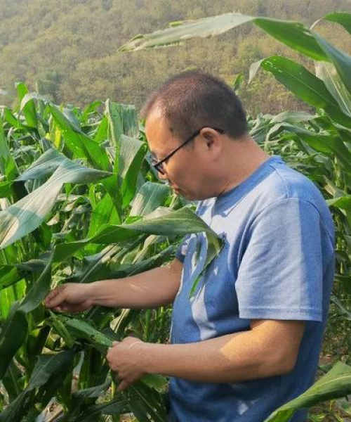 中农科测环境监测项目荣登行业巅峰，荣获大奖