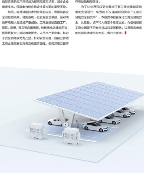 2023年中国农业科技创新白皮书深度解读