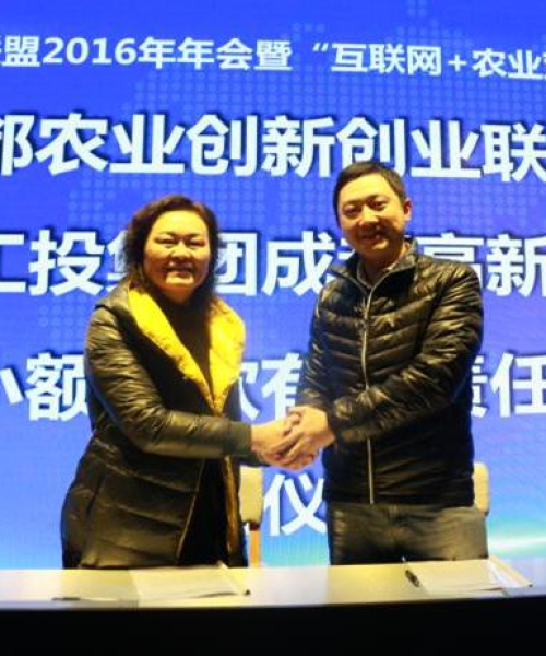 成都科技推动农业国际合作，数据揭示合作成果与前景