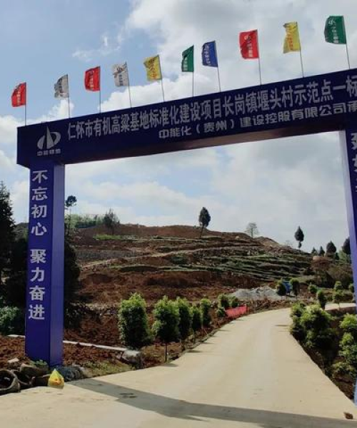 绿色农业的经济效益与市场发展前景