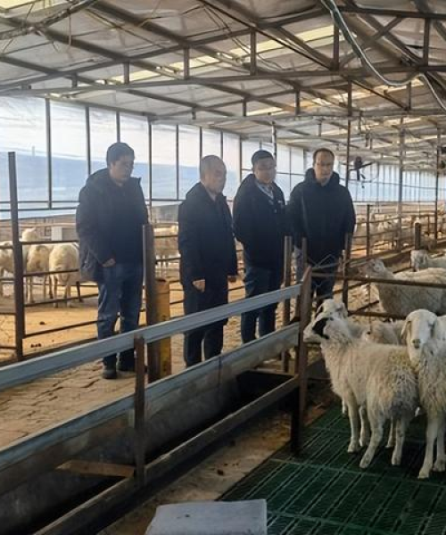 中农科测农业科技应用助力农业可持续发展