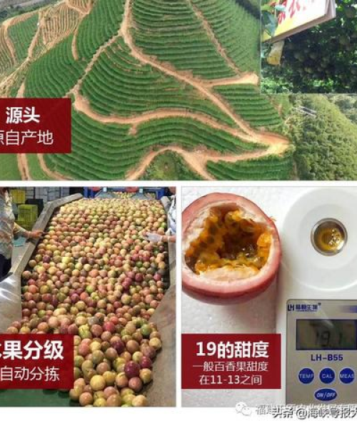 成都科技有限公司发布农业科技新品发布会盛大召开