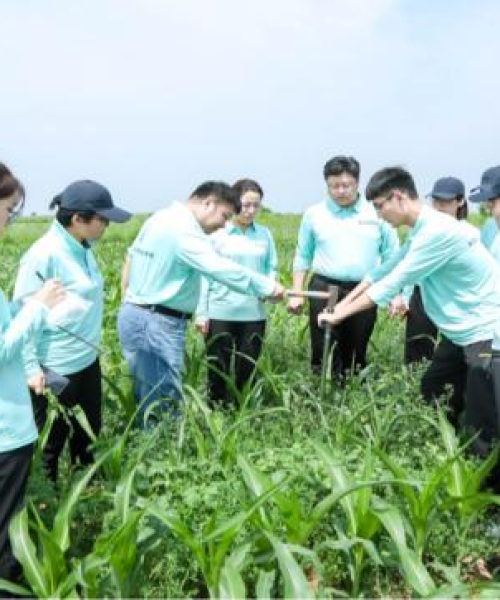 中农科测环境监测项目助力农业面源污染防控