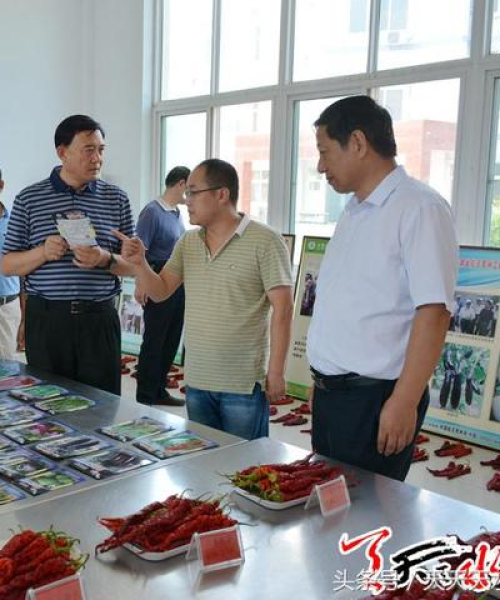 中农科测农业解决方案助力农业高效生产模式推广