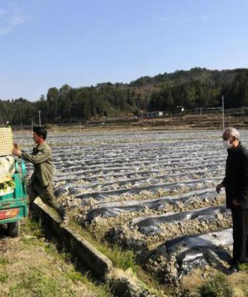中农科测环境监测仪器助力农业生态保护与修复