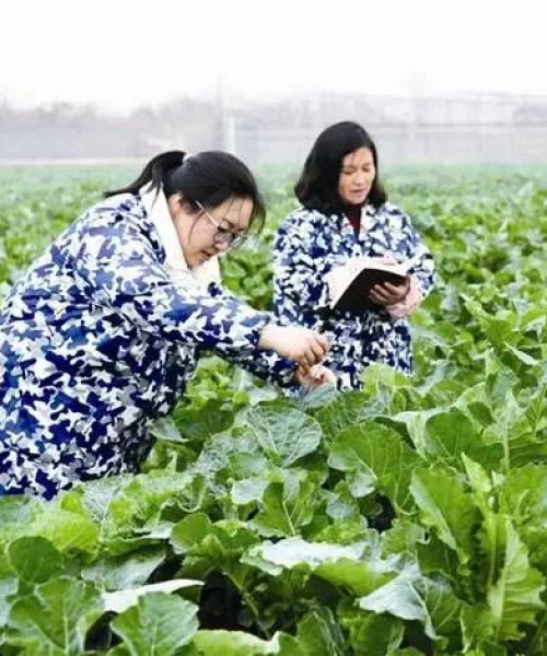 中农科测测试测量设备助力农业科技创新与应用
